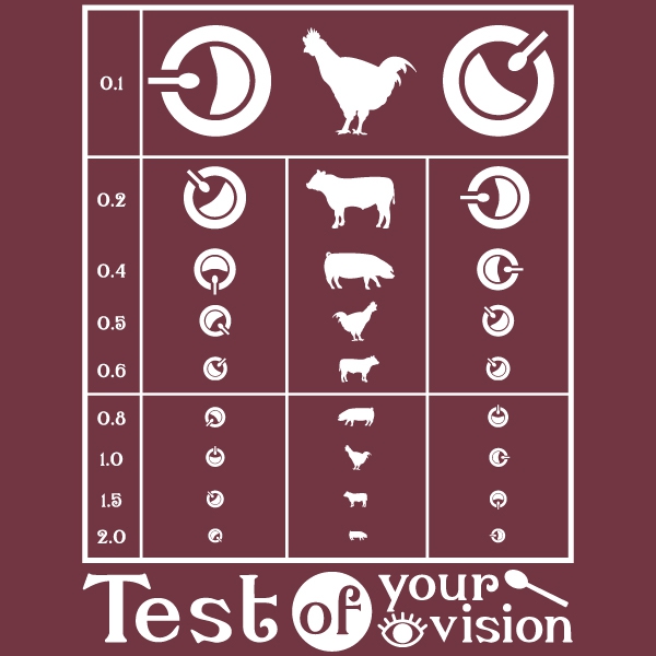 カレー好きの視力検査Tシャツ